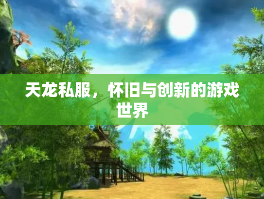 天龙私服，怀旧与创新的游戏世界