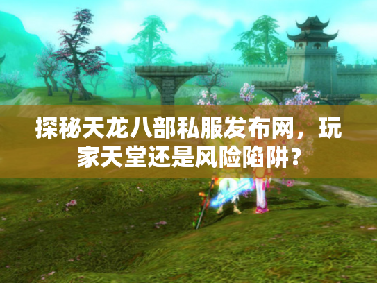 探秘天龙八部私服发布网，玩家天堂还是风险陷阱？