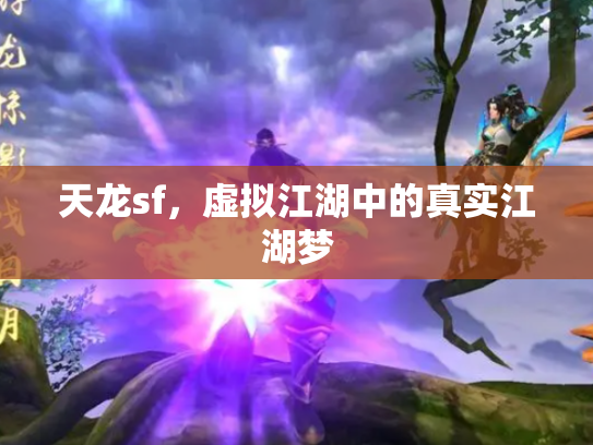 天龙sf，虚拟江湖中的真实江湖梦