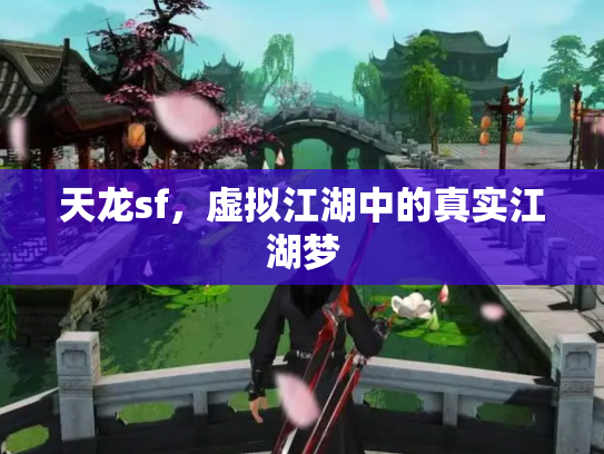 天龙sf，虚拟江湖中的真实江湖梦