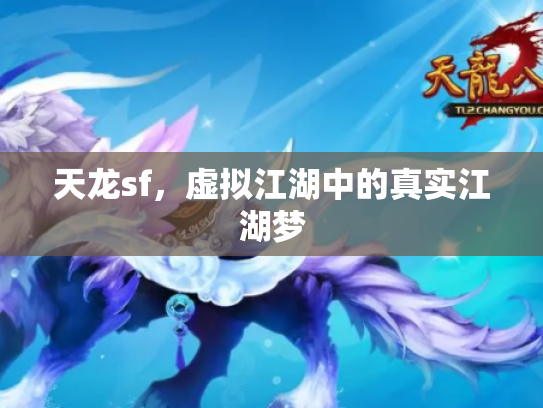 天龙sf，虚拟江湖中的真实江湖梦