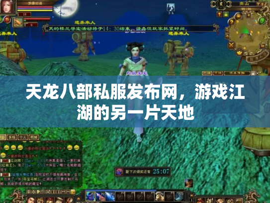 天龙八部私服发布网，游戏江湖的另一片天地
