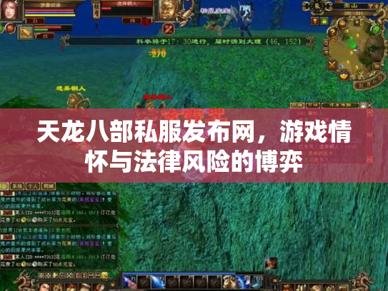 天龙八部私服发布网，游戏情怀与法律风险的博弈