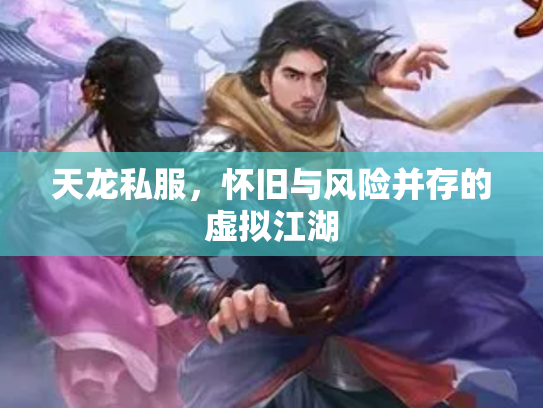 天龙私服，怀旧与风险并存的虚拟江湖