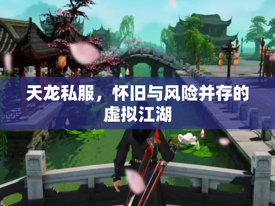 天龙私服，怀旧与风险并存的虚拟江湖