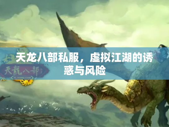 天龙八部私服，虚拟江湖的诱惑与风险