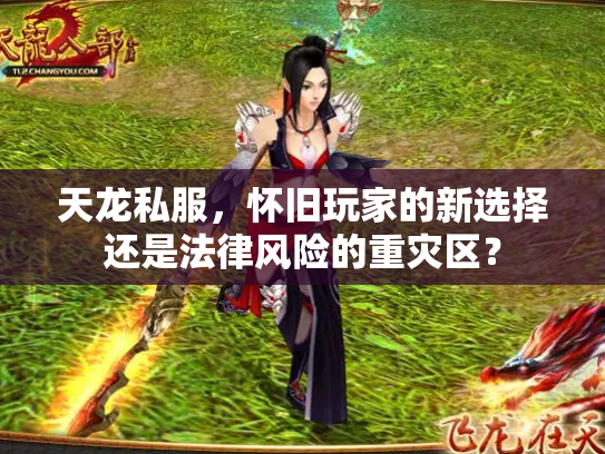 天龙私服，怀旧玩家的新选择还是法律风险的重灾区？
