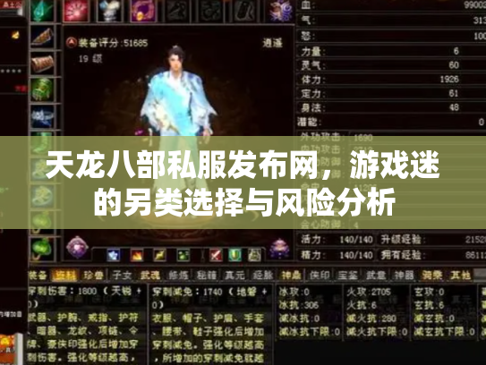 天龙八部私服发布网，游戏迷的另类选择与风险分析