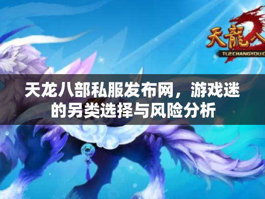 天龙八部私服发布网，游戏迷的另类选择与风险分析