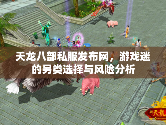 天龙八部私服发布网，游戏迷的另类选择与风险分析