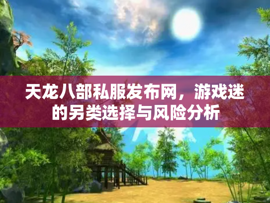 天龙八部私服发布网，游戏迷的另类选择与风险分析