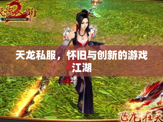 天龙私服，怀旧与创新的游戏江湖