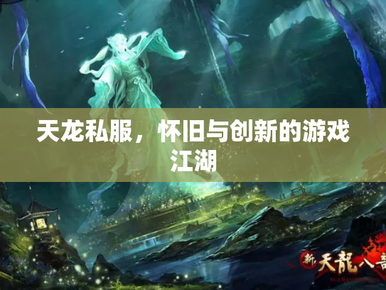 天龙私服，怀旧与创新的游戏江湖