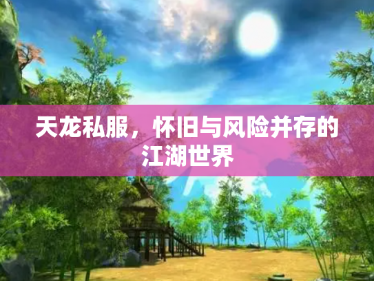 天龙私服，怀旧与风险并存的江湖世界