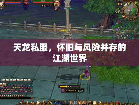 天龙私服，怀旧与风险并存的江湖世界