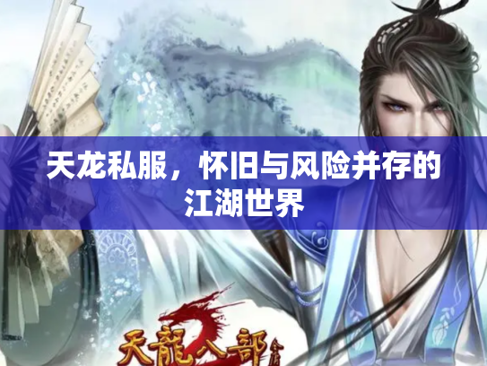 天龙私服，怀旧与风险并存的江湖世界