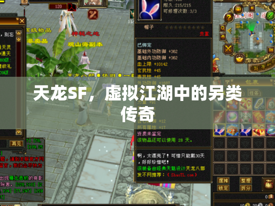 天龙SF，虚拟江湖中的另类传奇