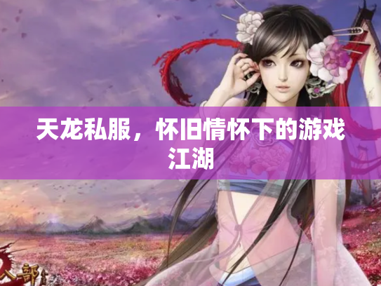 天龙私服，怀旧情怀下的游戏江湖