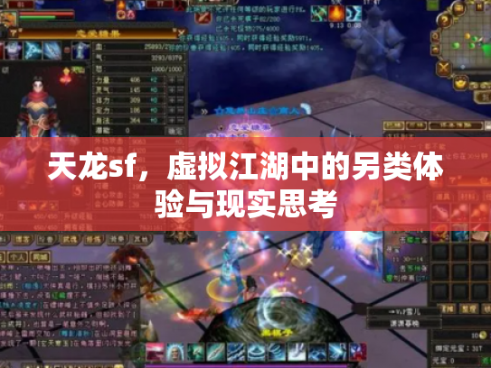 天龙sf，虚拟江湖中的另类体验与现实思考