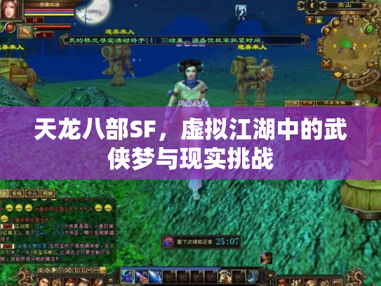 天龙八部SF，虚拟江湖中的武侠梦与现实挑战
