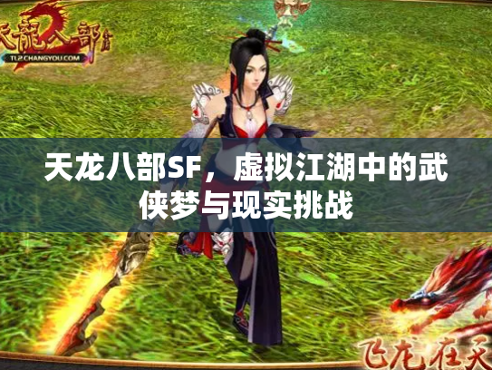 天龙八部SF，虚拟江湖中的武侠梦与现实挑战