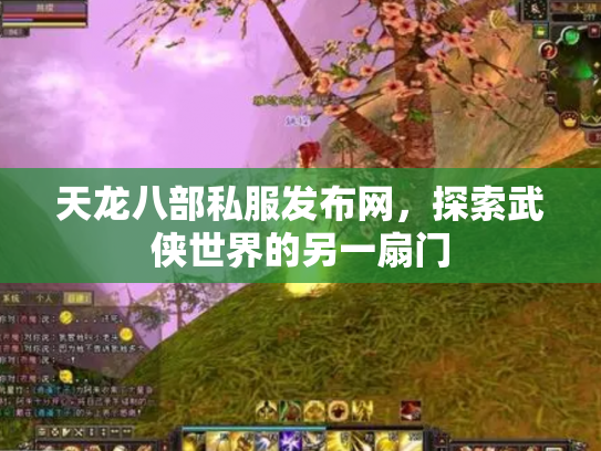天龙八部私服发布网，探索武侠世界的另一扇门