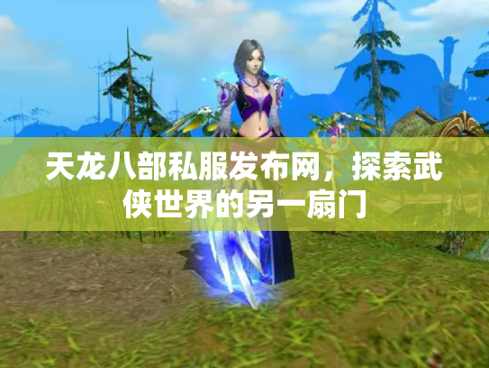 天龙八部私服发布网，探索武侠世界的另一扇门