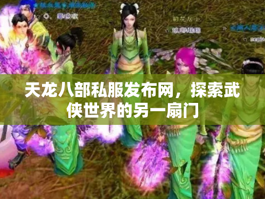 天龙八部私服发布网，探索武侠世界的另一扇门