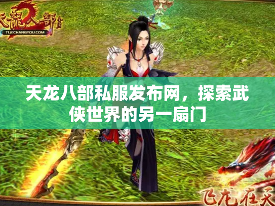 天龙八部私服发布网，探索武侠世界的另一扇门