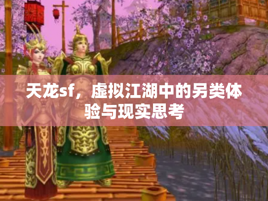 天龙sf，虚拟江湖中的另类体验与现实思考