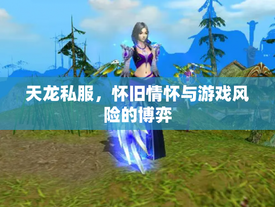 天龙私服，怀旧情怀与游戏风险的博弈