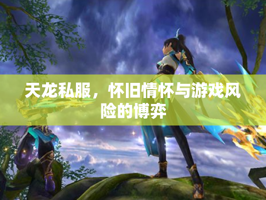天龙私服，怀旧情怀与游戏风险的博弈