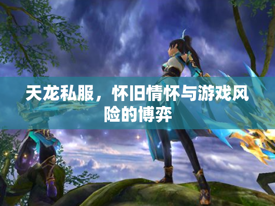 天龙私服，怀旧情怀与游戏风险的博弈
