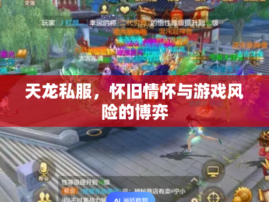 天龙私服，怀旧情怀与游戏风险的博弈
