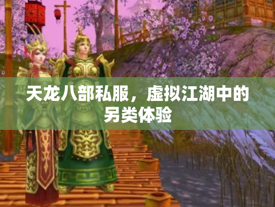 天龙八部私服，虚拟江湖中的另类体验