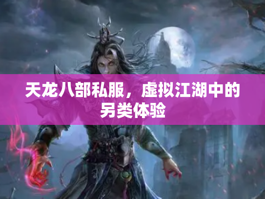 天龙八部私服，虚拟江湖中的另类体验