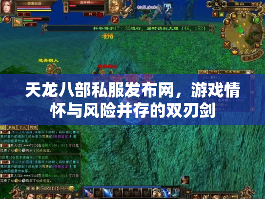 天龙八部私服发布网，游戏情怀与风险并存的双刃剑