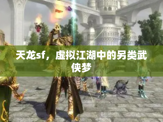 天龙sf，虚拟江湖中的另类武侠梦