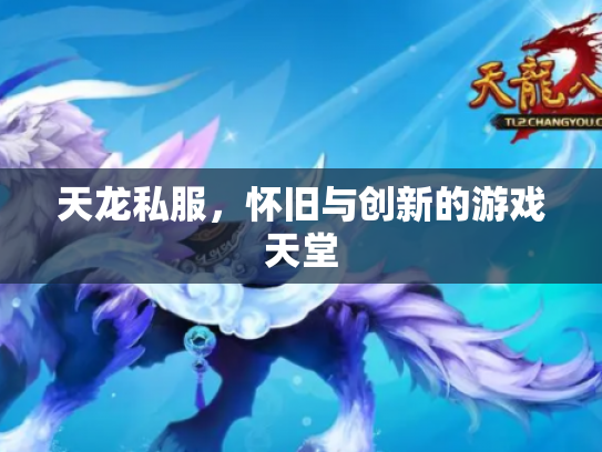 天龙私服,怀旧与创新的游戏天堂 天龙私服,怀旧与创新的游戏天堂