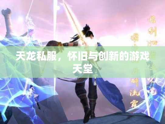 天龙私服，怀旧与创新的游戏天堂