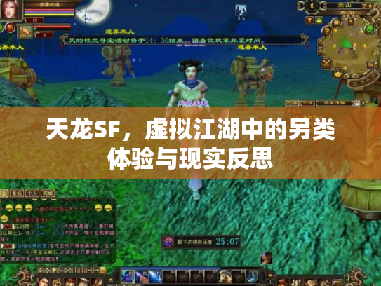 天龙SF，虚拟江湖中的另类体验与现实反思