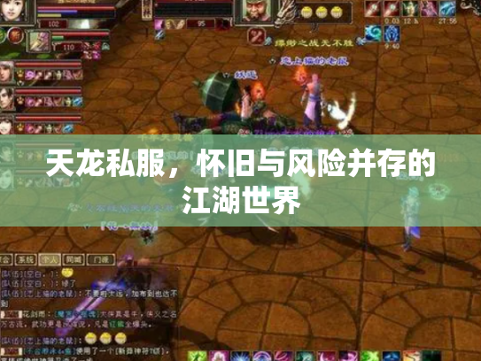 天龙私服，怀旧与风险并存的江湖世界