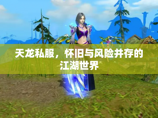 天龙私服，怀旧与风险并存的江湖世界