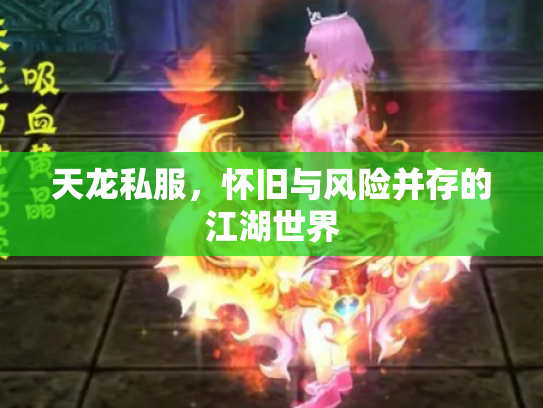 天龙私服，怀旧与风险并存的江湖世界