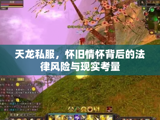 天龙私服，怀旧情怀背后的法律风险与现实考量
