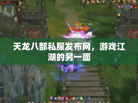 天龙八部私服发布网，游戏江湖的另一面