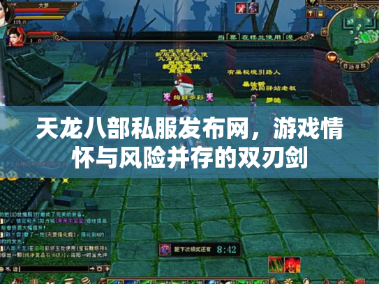 天龙八部私服发布网，游戏情怀与风险并存的双刃剑