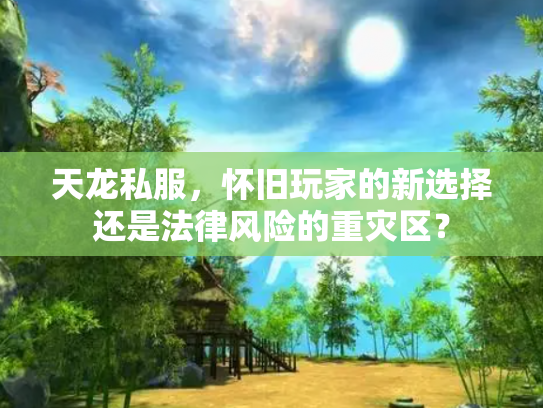 天龙私服，怀旧玩家的新选择还是法律风险的重灾区？