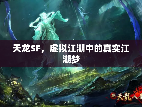天龙SF，虚拟江湖中的真实江湖梦