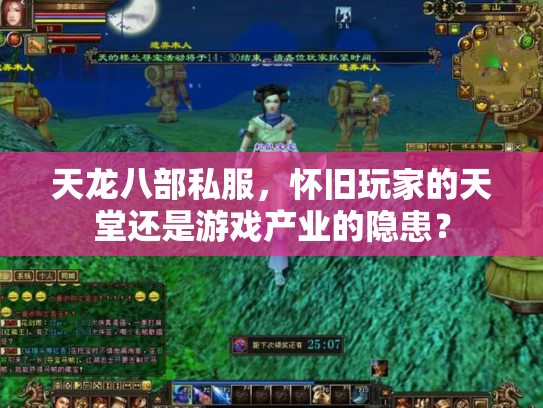 天龙八部私服，怀旧玩家的天堂还是游戏产业的隐患？